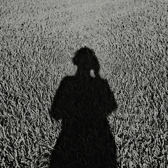 A cover of "my arts n crafts" cluster. The owner is aimanleondore. The cluster consists of 31 elements.