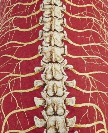 A cover of "Megan Carmine" cluster. The owner is northium. The cluster consists of 14 elements.