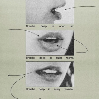 A cover of "RESPIRER + SOUFFLE" cluster. The owner is sizo.8. The cluster consists of 384 elements.