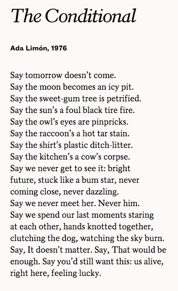 The poem The Conditional by Ada Limón.