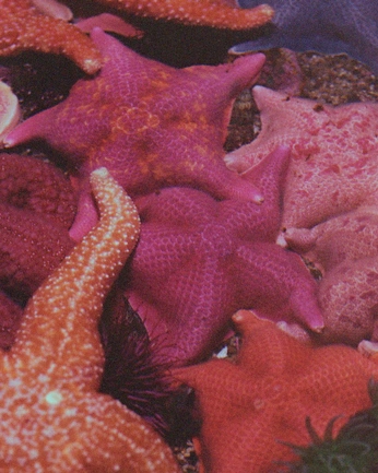 A cover of "Aula" cluster. The owner is pinkywainer. The cluster consists of 1 element.