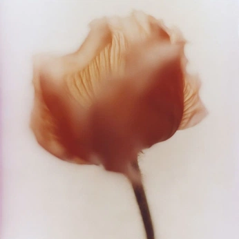 A cover of "By Bre" cluster. The owner is brereda. The cluster description is "Content Inspo for By Bre LLC. ". The cluster consists of 82 elements.