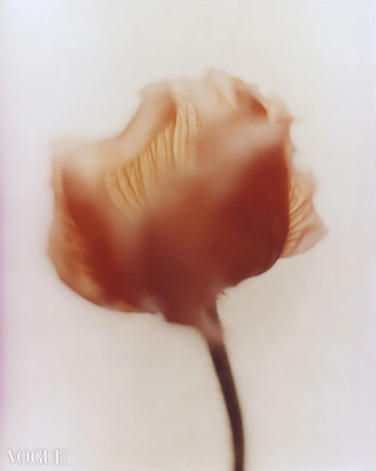 A cover of "flora" cluster. The owner is katjenkins. The cluster consists of 75 elements.