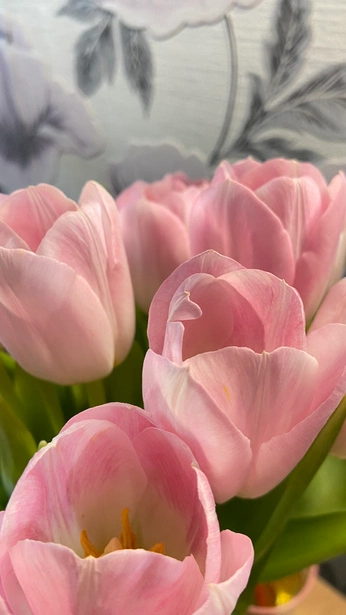 A cover of "Pink flowers" cluster. The owner is abored.idiot. The cluster consists of 4 elements.