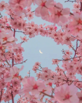 A cover of "Idk" cluster. The owner is satorugojoo. The cluster consists of 3 elements.