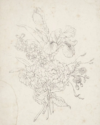 A cover of "flower" cluster. The owner is bbisamess. The cluster consists of 7 elements.