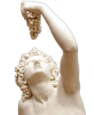 Sofia Perlini avatar