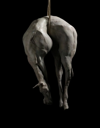 A cover of "pool" cluster. The owner is arcaiyves. The cluster consists of 10 elements.