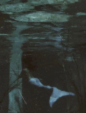 A cover of "sera" cluster. The owner is swimcap. The cluster consists of 9 elements.