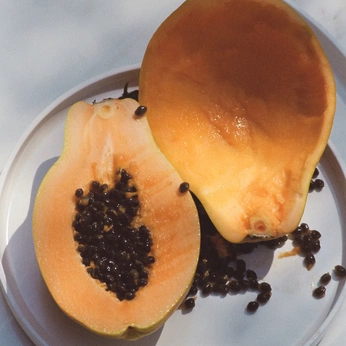 A cover of "High by the Beach" cluster. The owner is citrusbear. The cluster consists of 50 elements.