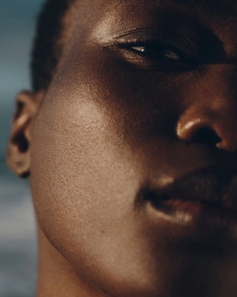 A cover of "Reference Photos" cluster. The owner is catpawz. The cluster consists of 4 elements.