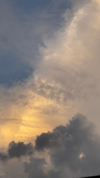 A cover of "Snapshots" cluster. The owner is brainless.shadow. The cluster consists of 31 elements.