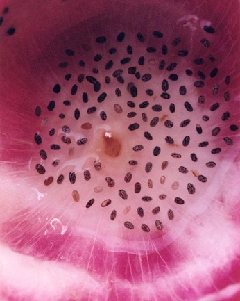 A cover of "— everything & nothing" cluster. The owner is samrichon. The cluster consists of 55 elements.