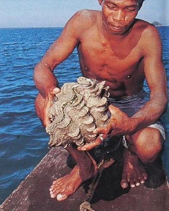 A cover of "gin" cluster. The owner is morrxp. The cluster consists of 49 elements.