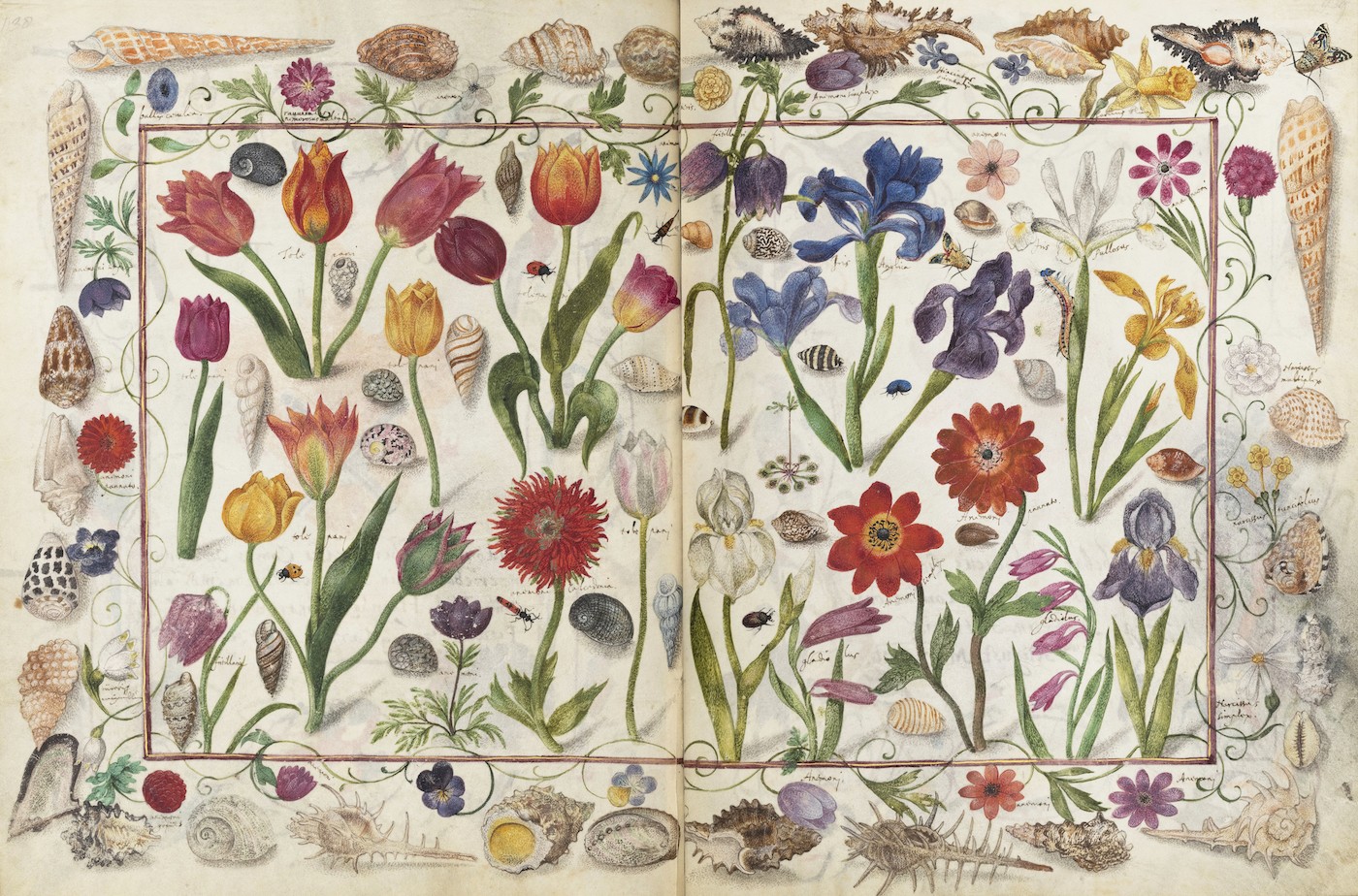 An image added by cosmos on Jul 10, 2024. May present: das grosse stammbuch, großes stammbuch, album amicorum.