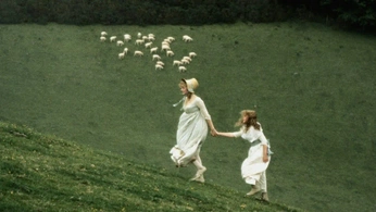 A cover of "Nature" cluster. The owner is rivelinw. The cluster consists of 30 elements.