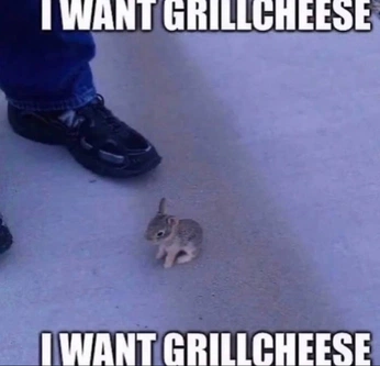 A cover of "funny" cluster. The owner is c7camf. The cluster consists of 221 elements.