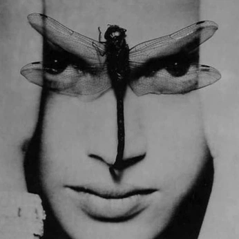 A cover of "Photo" cluster. The owner is vi.58. The cluster consists of 16 elements.