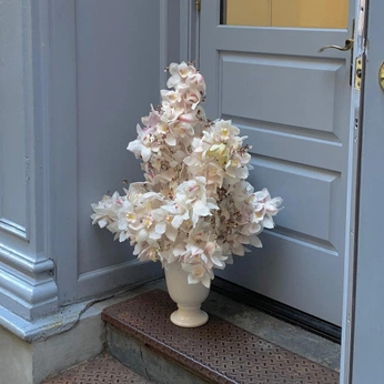 A cover of "flora" cluster. The owner is beebee064. The cluster consists of 12 elements.