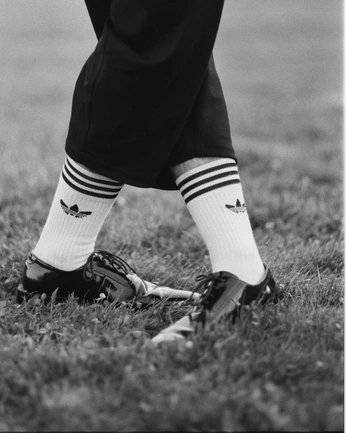 A cover of "Folio_Cover" cluster. The owner is mrarandia. The cluster consists of 5 elements.