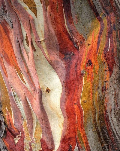 An Instagram carousel post added by bejud on Jan 17, 2024. The author is @lesothers.