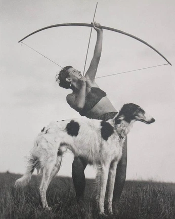 A cover of "all dogs go to heaven" cluster. The owner is vanillachai. The cluster consists of 5 elements.