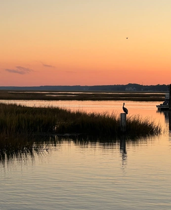 A cover of "saline" cluster. The owner is carl8. The cluster consists of 7 elements.