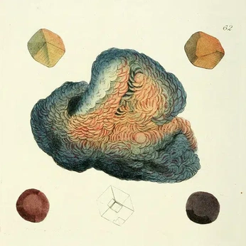 A cover of "/HollowFruits/" cluster. The owner is indigoskies. The cluster consists of 19 elements.