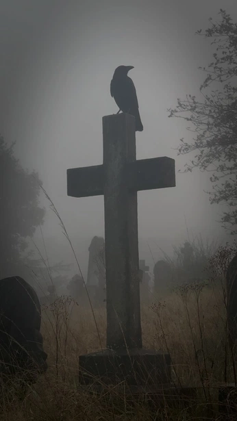 A cover of "avian" cluster. The owner is frogdino. The cluster consists of 17 elements.