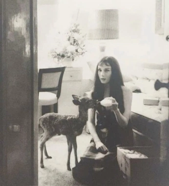 A cover of "The sauce" cluster. The owner is kyjoxx. The cluster consists of 46 elements.