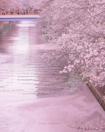 A cover of "Mono No Aware" cluster. The owner is efnwkds. The cluster consists of 6 elements.