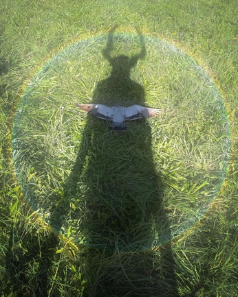 A cover of "✅" cluster. The owner is ciaravesely. The cluster consists of 3 elements.