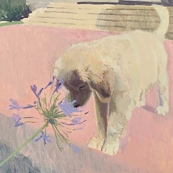 A cover of "Illustration, Painting" cluster. The owner is underpant. The cluster consists of 31 elements.