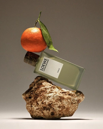 A cover of "aesthetics" cluster. The owner is shaomin. The cluster consists of 14 elements.