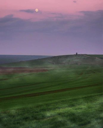 A cover of "colour" cluster. The owner is dar.pri. The cluster consists of 2 elements.