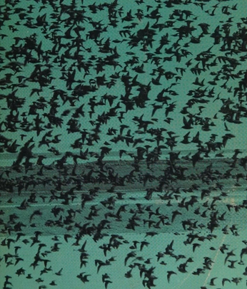 A cover of "nature print" cluster. The owner is ssanborn. The cluster consists of 25 elements.