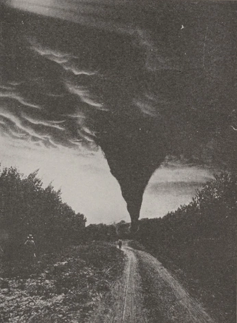 A cover of "Vintage Trail" cluster. The owner is 9tingyang. The cluster consists of 12 elements.