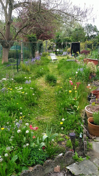 A cover of "Vision board" cluster. The owner is nivoze. The cluster consists of 3 elements.