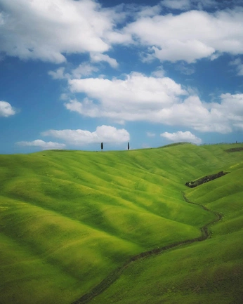 A cover of "oil" cluster. The owner is wanabecoconut. The cluster consists of 26 elements.