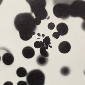 A cover of "Inspi" cluster. The owner is chafik. The cluster consists of 333 elements.