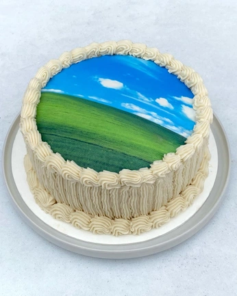 A cover of "cake ikebana" cluster. The owner is backpainbaby. The cluster consists of 28 elements.