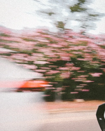 A cover of "Mine" cluster. The owner is yoome. The cluster consists of 8 elements.