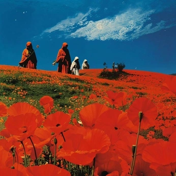 A cover of "ALSZ" cluster. The owner is stawowy. The cluster consists of 145 elements.