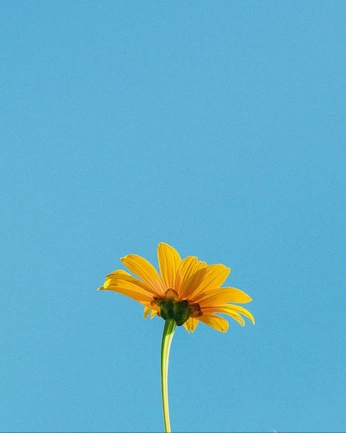 A cover of "mcc colors" cluster. The owner is zooie. The cluster consists of 16 elements.