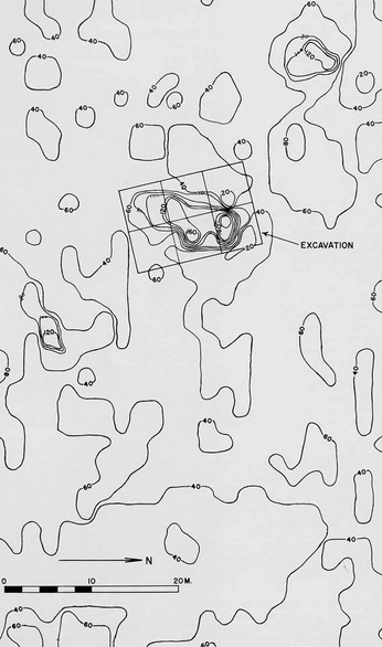A cover of "Conceptual Cartography" cluster. The owner is lukas.mullen. The cluster consists of 41 elements.