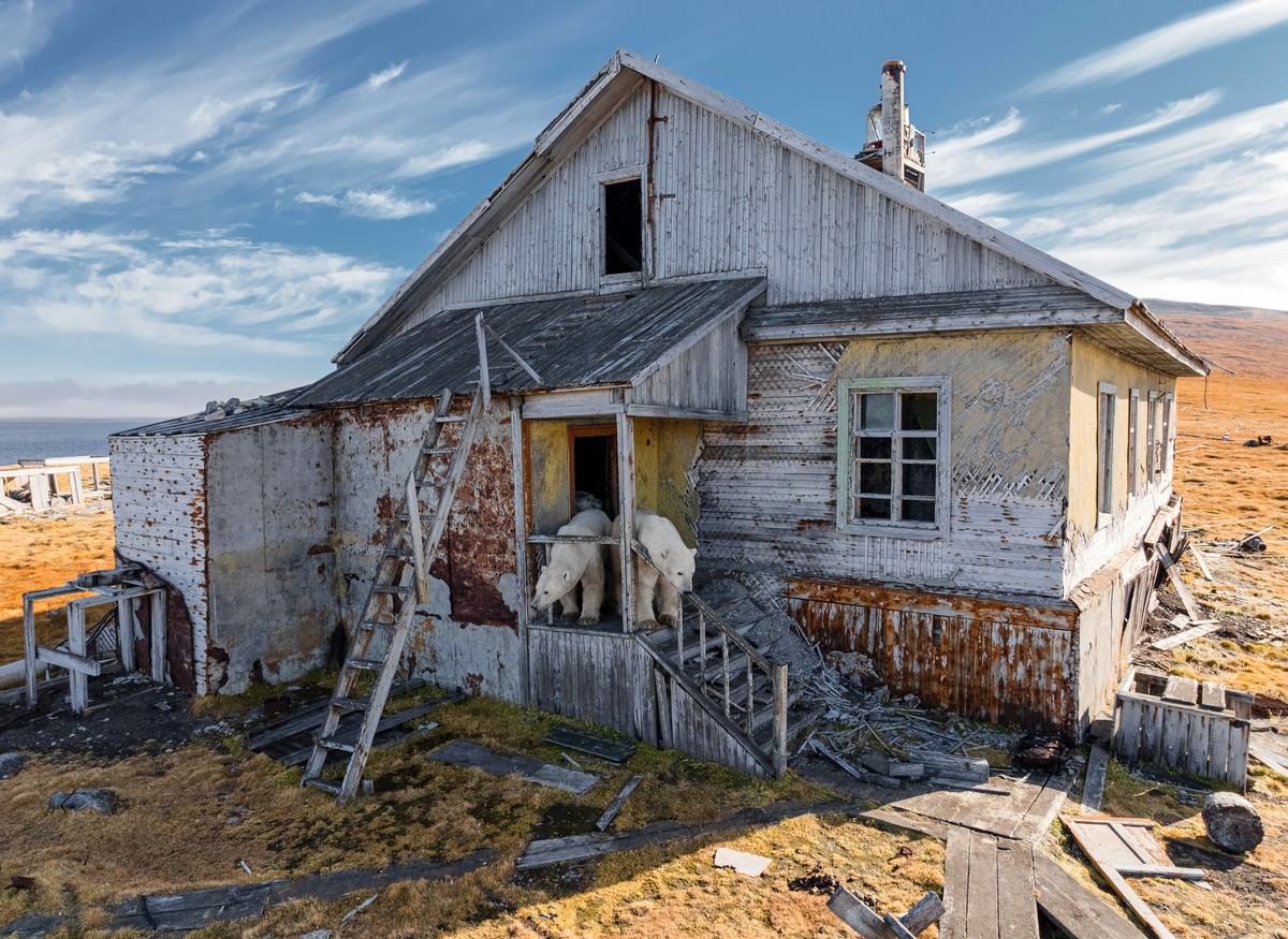 Thumbnail of Found on Cosmos