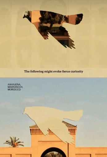 A cover of "Visual Moving" cluster. The owner is seriousmama. The cluster consists of 5 elements.