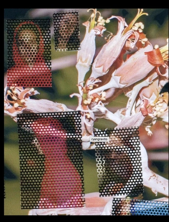 A cover of "images inspired" cluster. The owner is marile. The cluster consists of 8 elements.