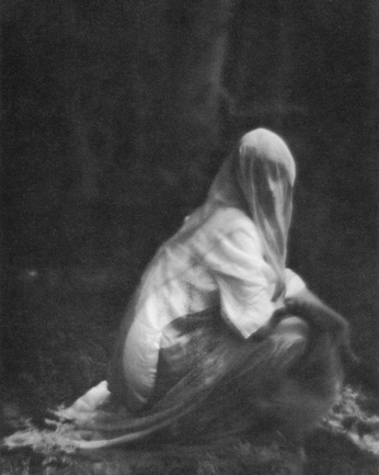 A cover of "🖼️" cluster. The owner is sawyerskipper. The cluster consists of 113 elements.