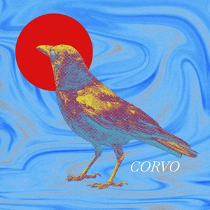 Lucas gomes Baldassarre avatar